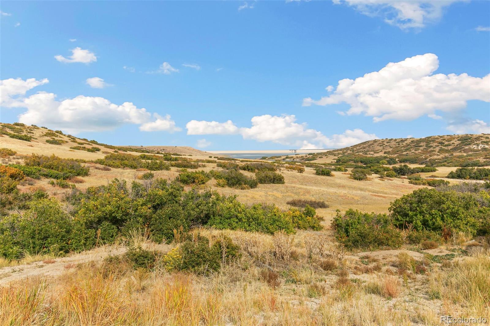 MLS Image #44 for 6177  saddlesmith street,castle pines, Colorado