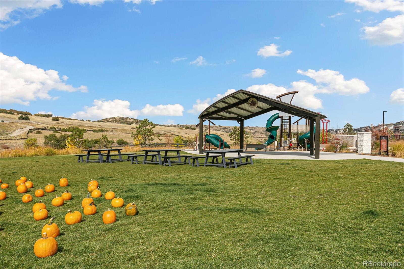 MLS Image #48 for 6177  saddlesmith street,castle pines, Colorado