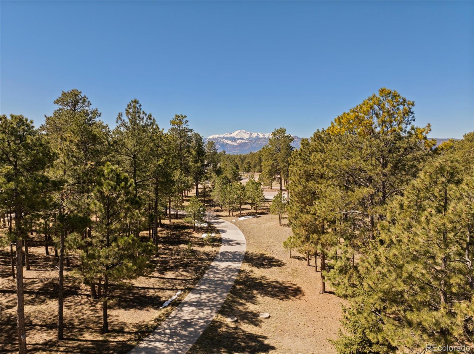 MLS Image #47 for 17165  colonial park drive,monument, Colorado