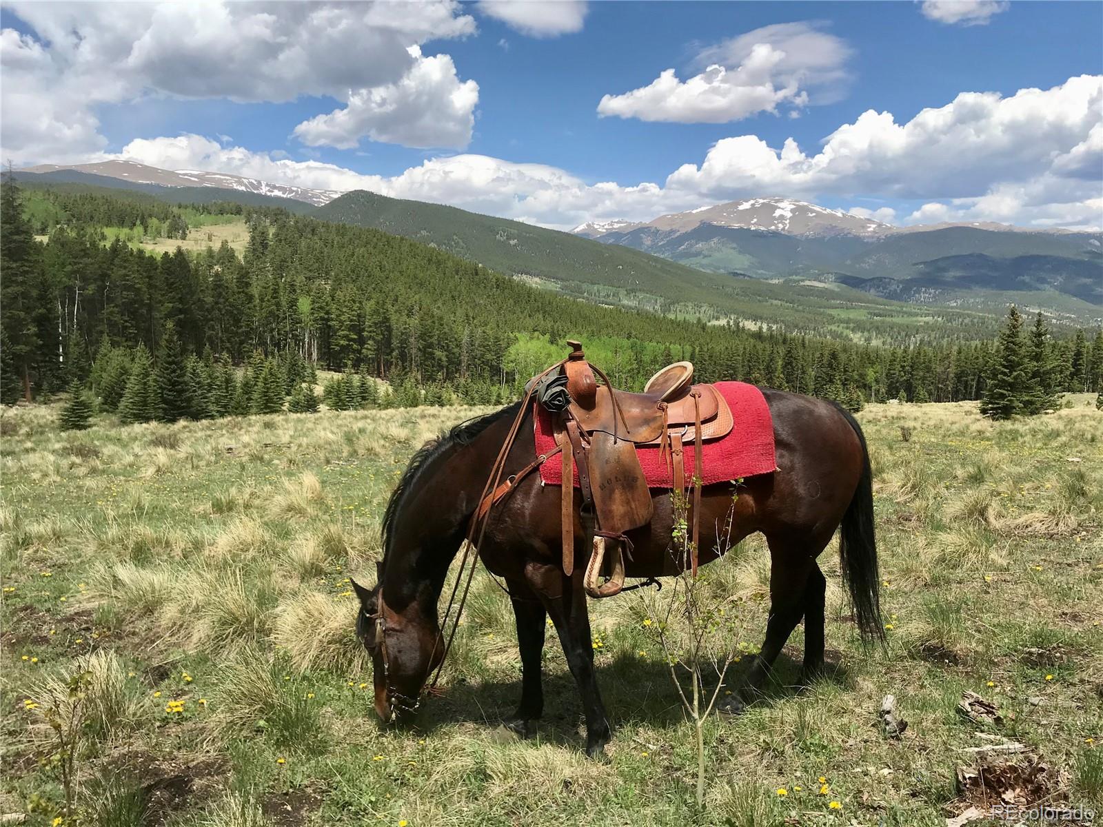 MLS Image #36 for 637  rock road,bailey, Colorado