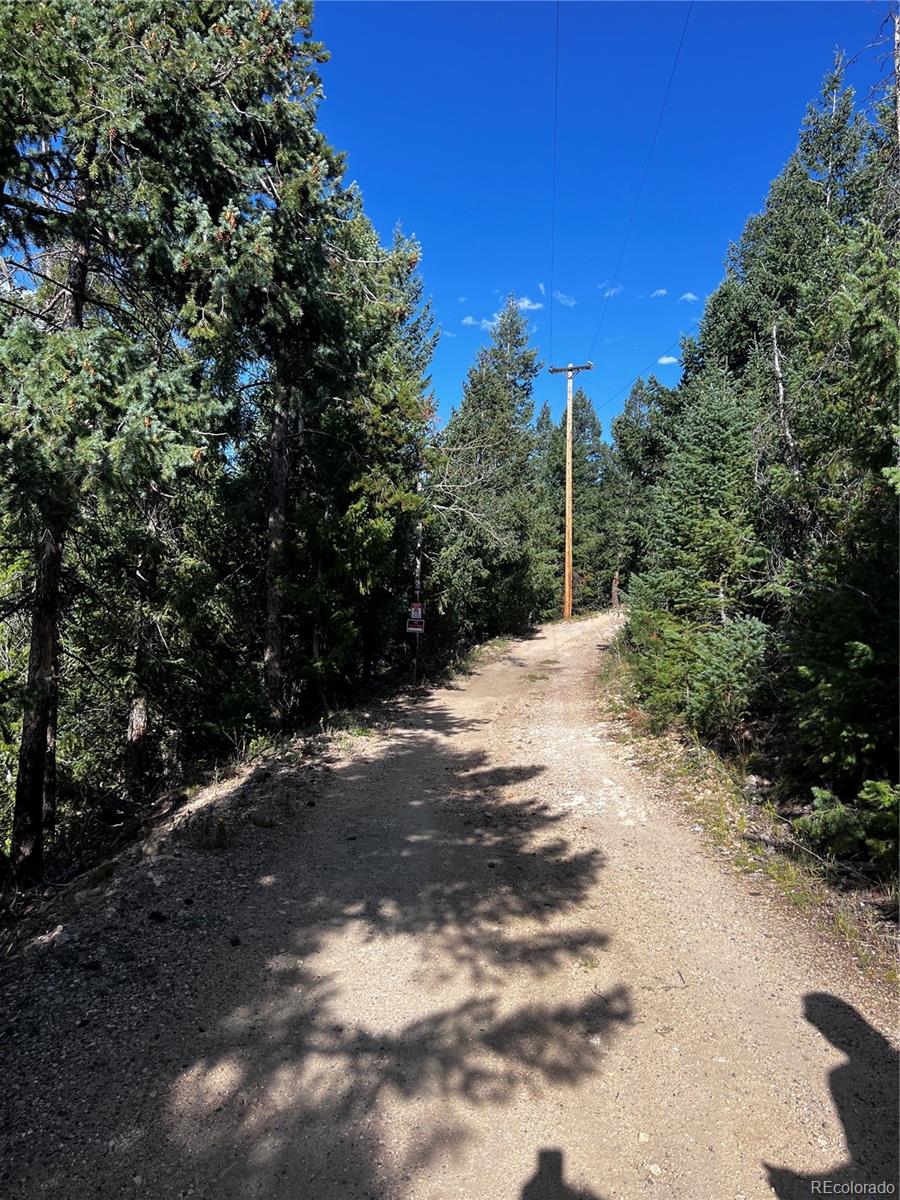 MLS Image #43 for 33884  bergen view trail,evergreen, Colorado