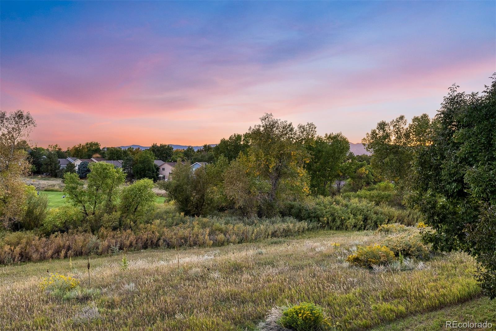 MLS Image #3 for 9912  silver maple road,highlands ranch, Colorado