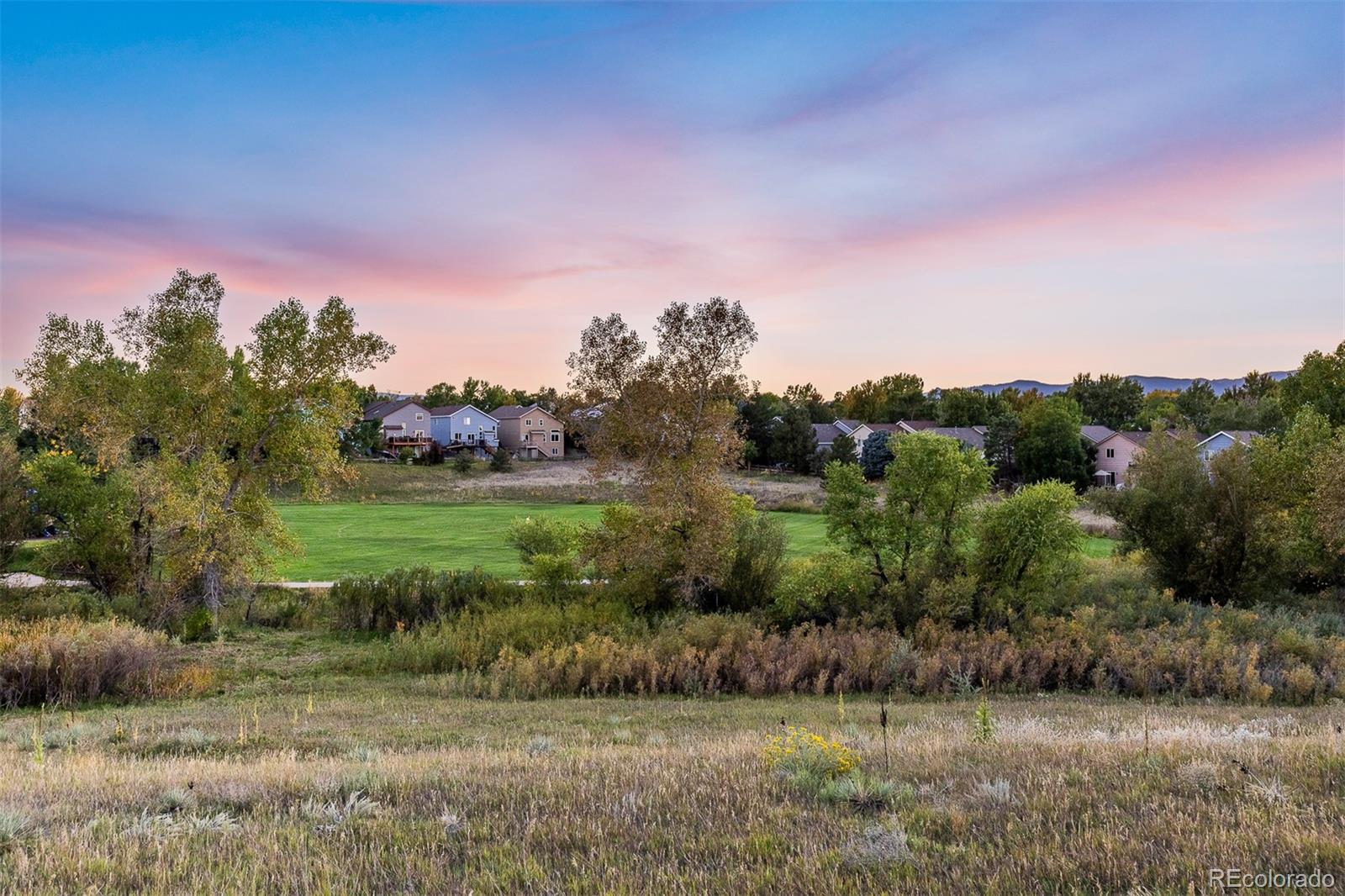 MLS Image #8 for 9912  silver maple road,highlands ranch, Colorado