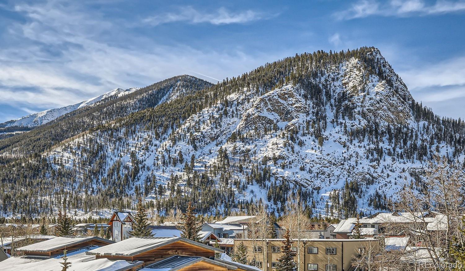 MLS Image #22 for 309  galena street,frisco, Colorado