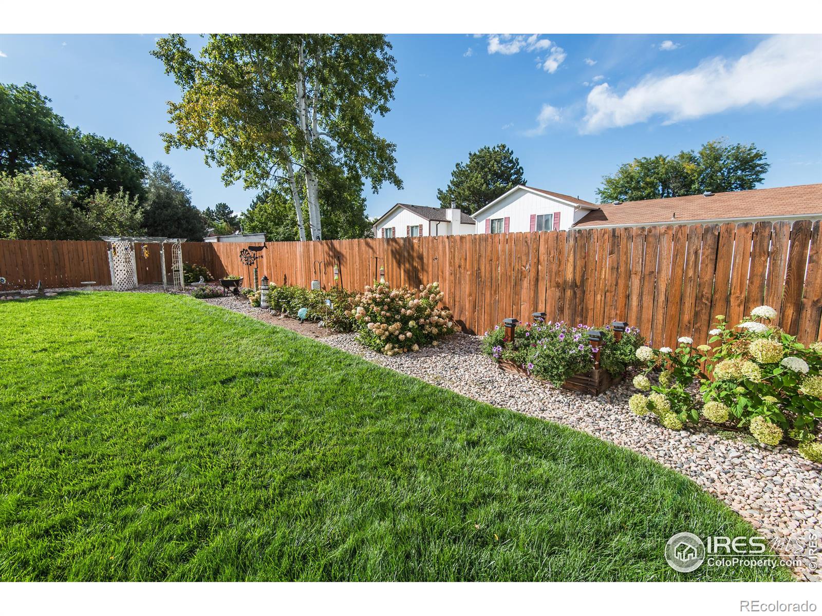 MLS Image #35 for 821  black maple drive,loveland, Colorado