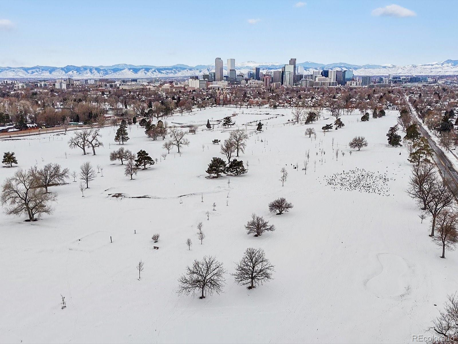 MLS Image #32 for 2615 n steele street,denver, Colorado