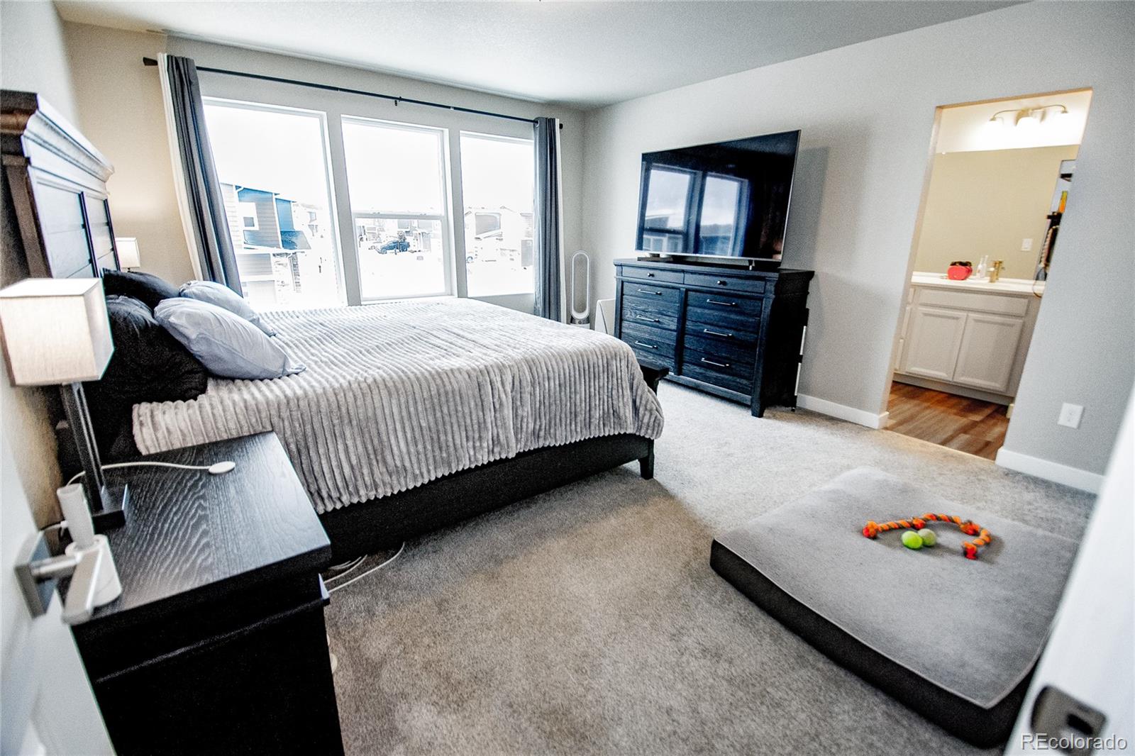 MLS Image #13 for 11116  murrelet drive,colorado springs, Colorado