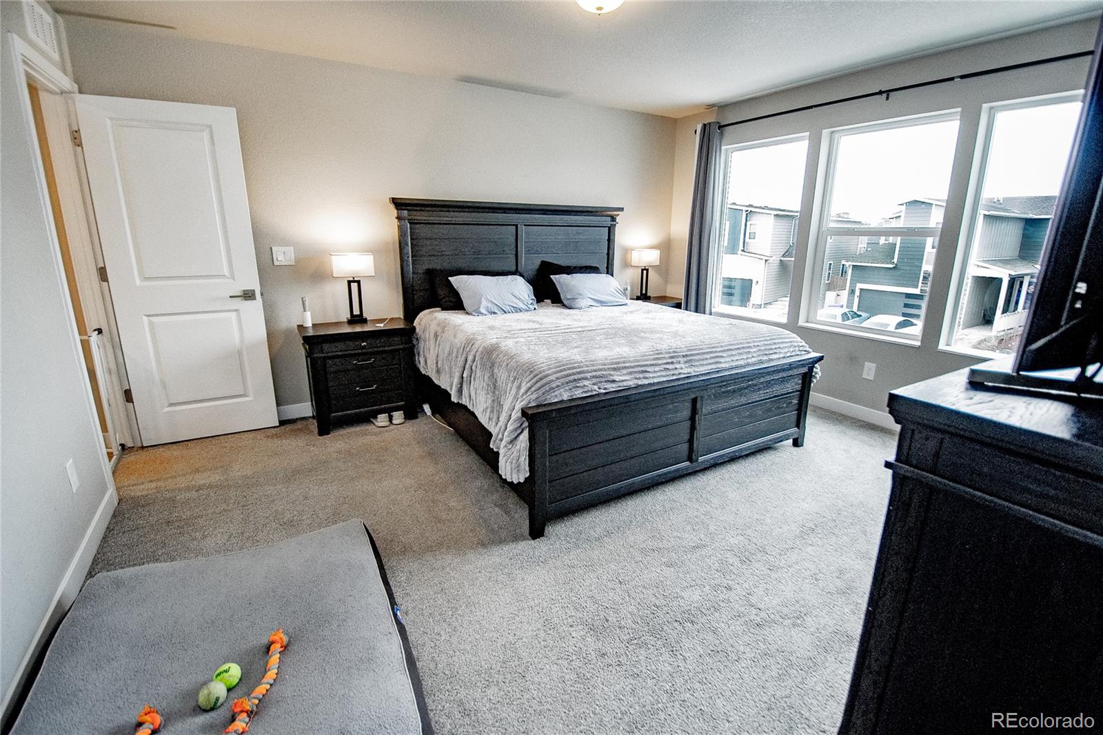 MLS Image #14 for 11116  murrelet drive,colorado springs, Colorado