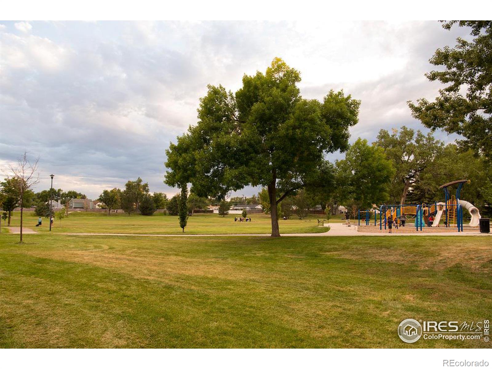 MLS Image #39 for 6213  gray street,arvada, Colorado