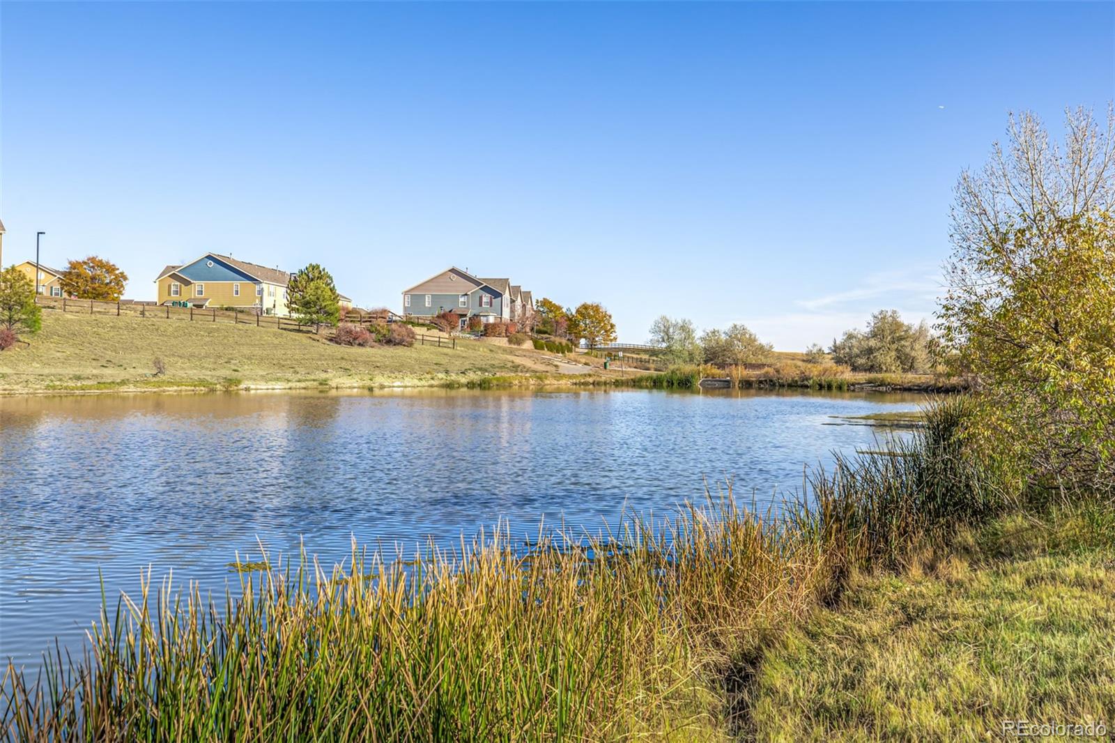 MLS Image #47 for 12660  jersey circle,thornton, Colorado