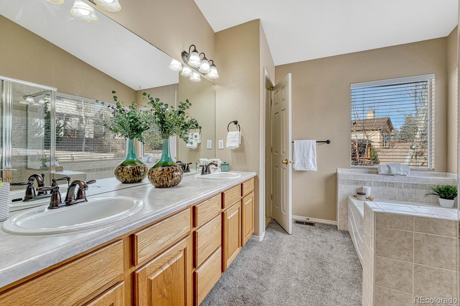 MLS Image #22 for 3885  cherry plum drive,colorado springs, Colorado