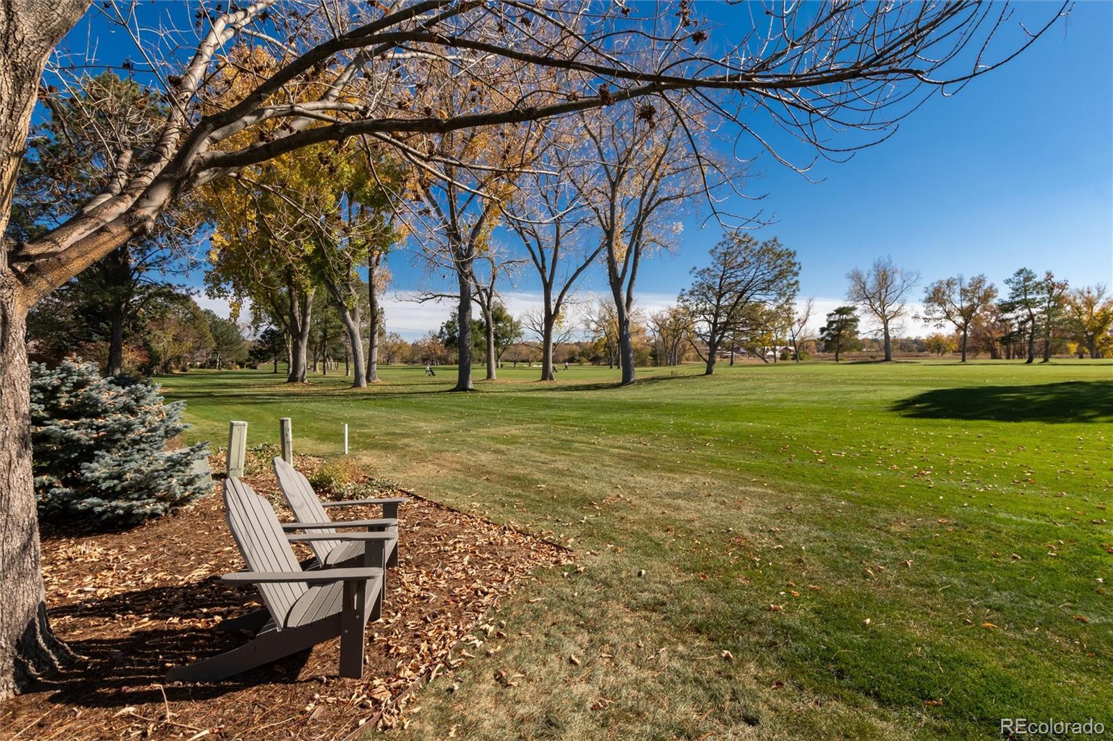 MLS Image #44 for 6  driver lane,littleton, Colorado