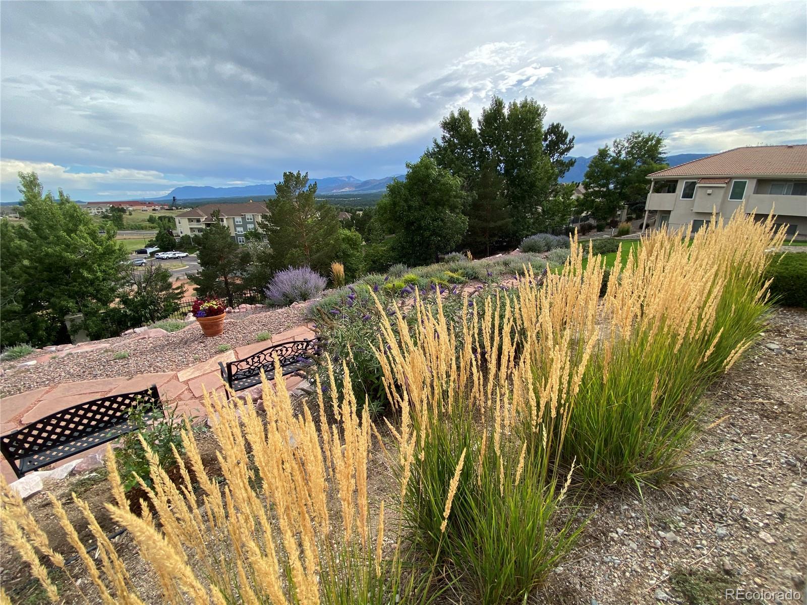 MLS Image #34 for 53  luxury lane,colorado springs, Colorado