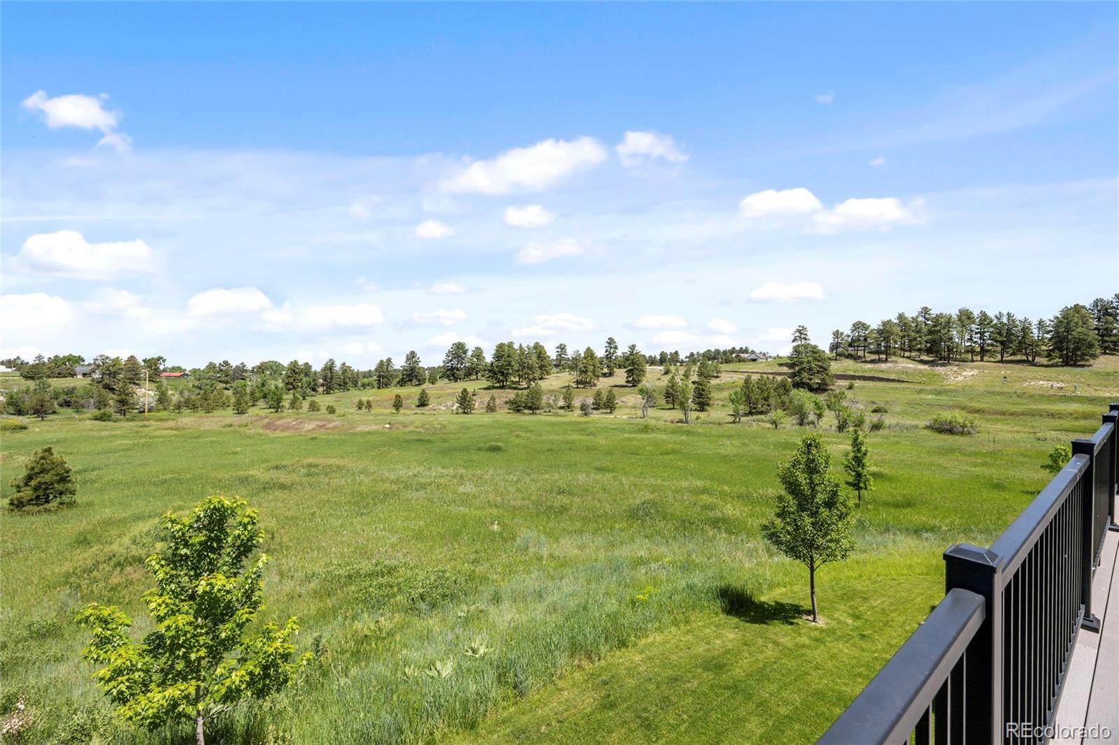 MLS Image #22 for 10205  inspiration drive,parker, Colorado