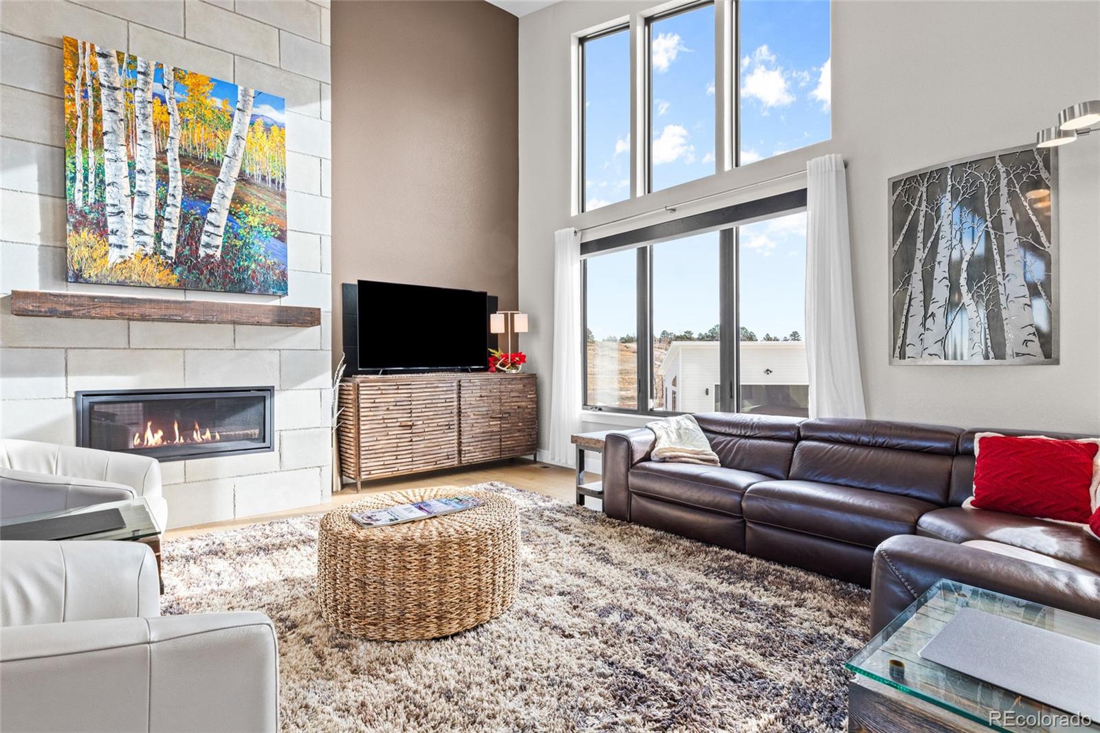 MLS Image #8 for 10205  inspiration drive,parker, Colorado