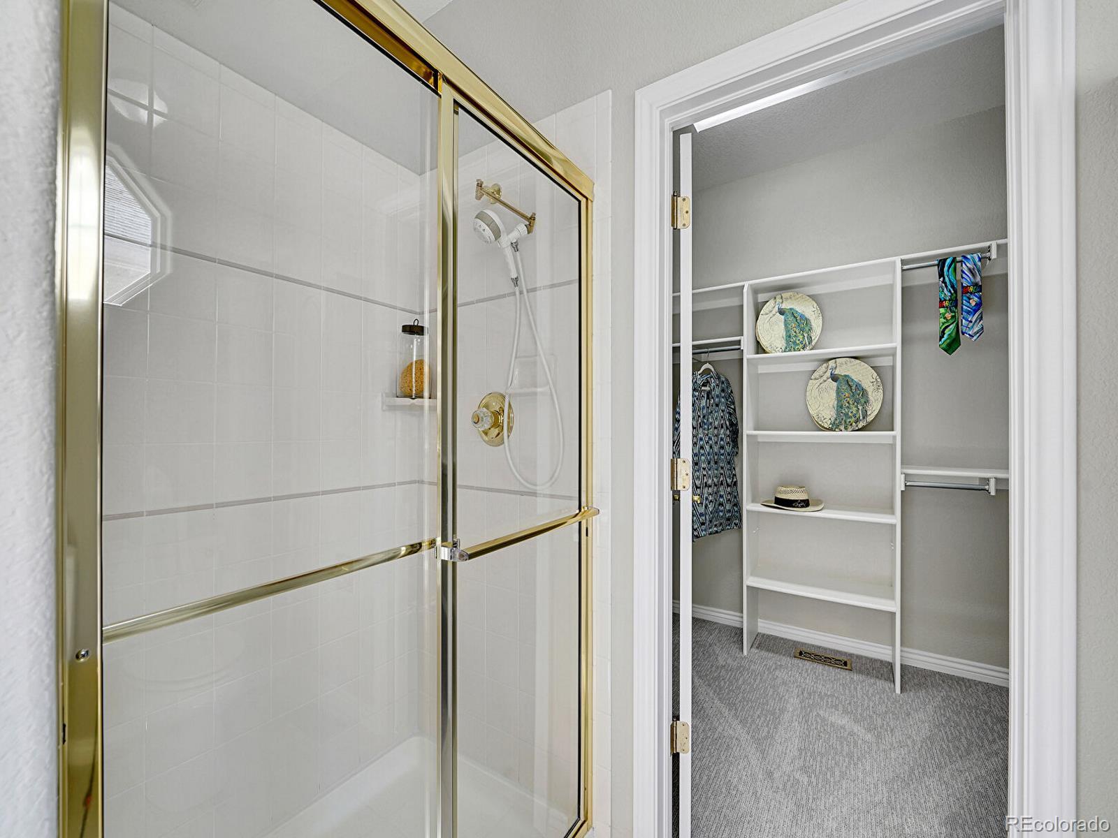 MLS Image #17 for 946  champion circle,longmont, Colorado