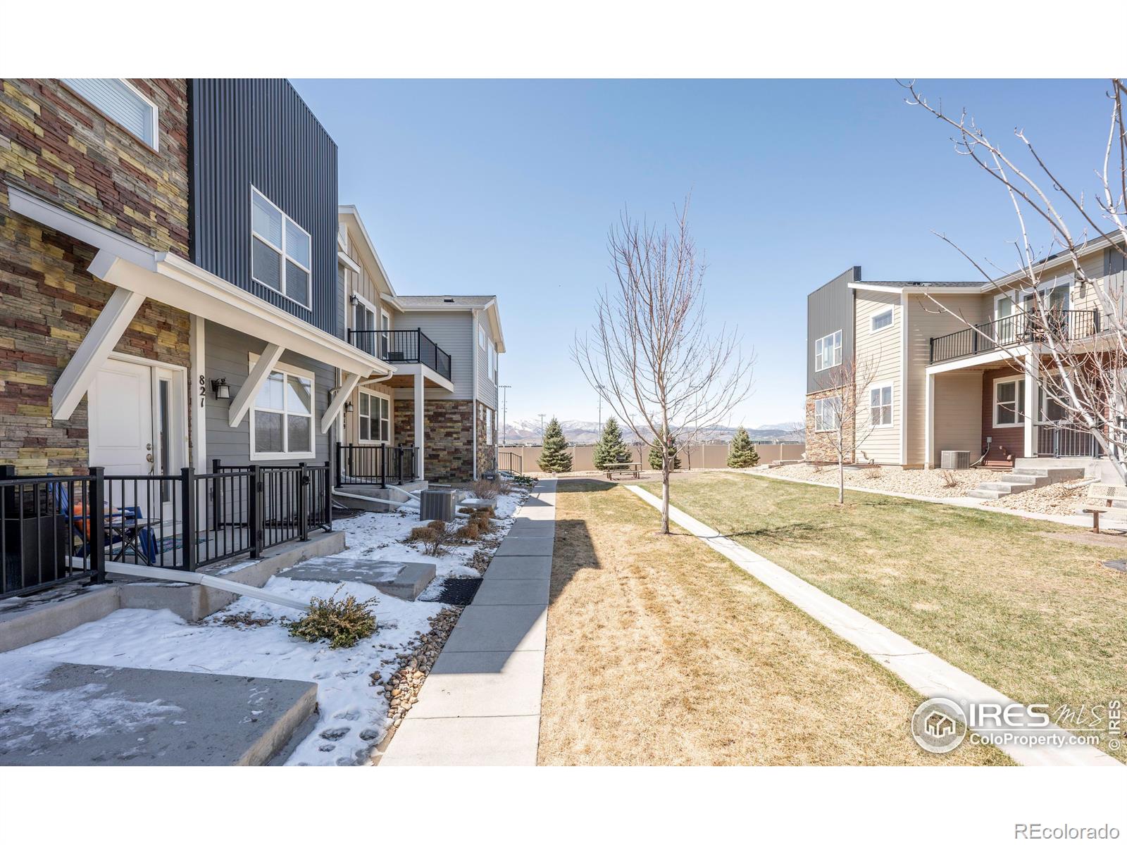 MLS Image #2 for 821  robert street,longmont, Colorado