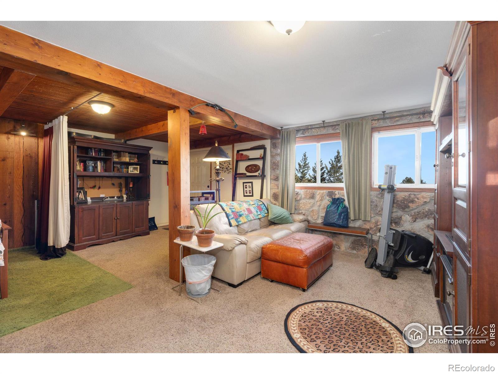 MLS Image #21 for 411  mount champion drive,livermore, Colorado