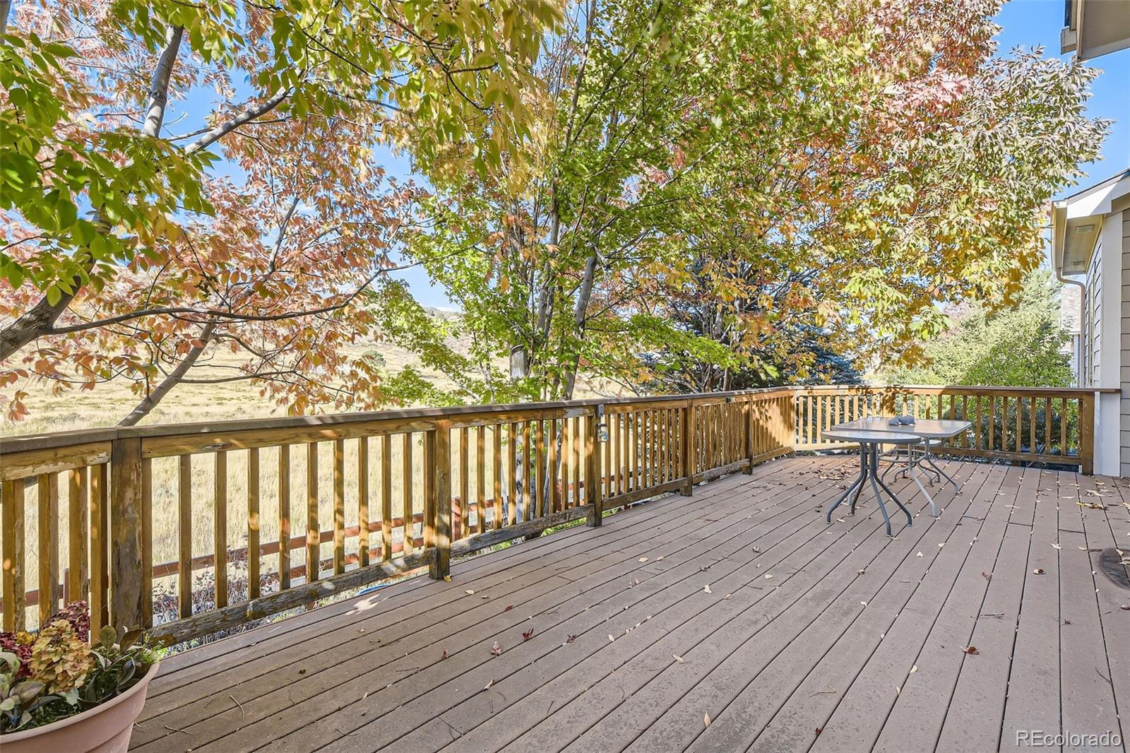 MLS Image #30 for 8379  hackamore road,littleton, Colorado