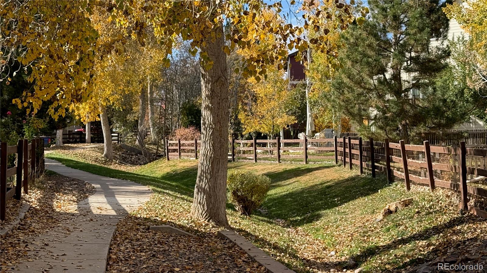 MLS Image #28 for 16355  flintlock court,parker, Colorado