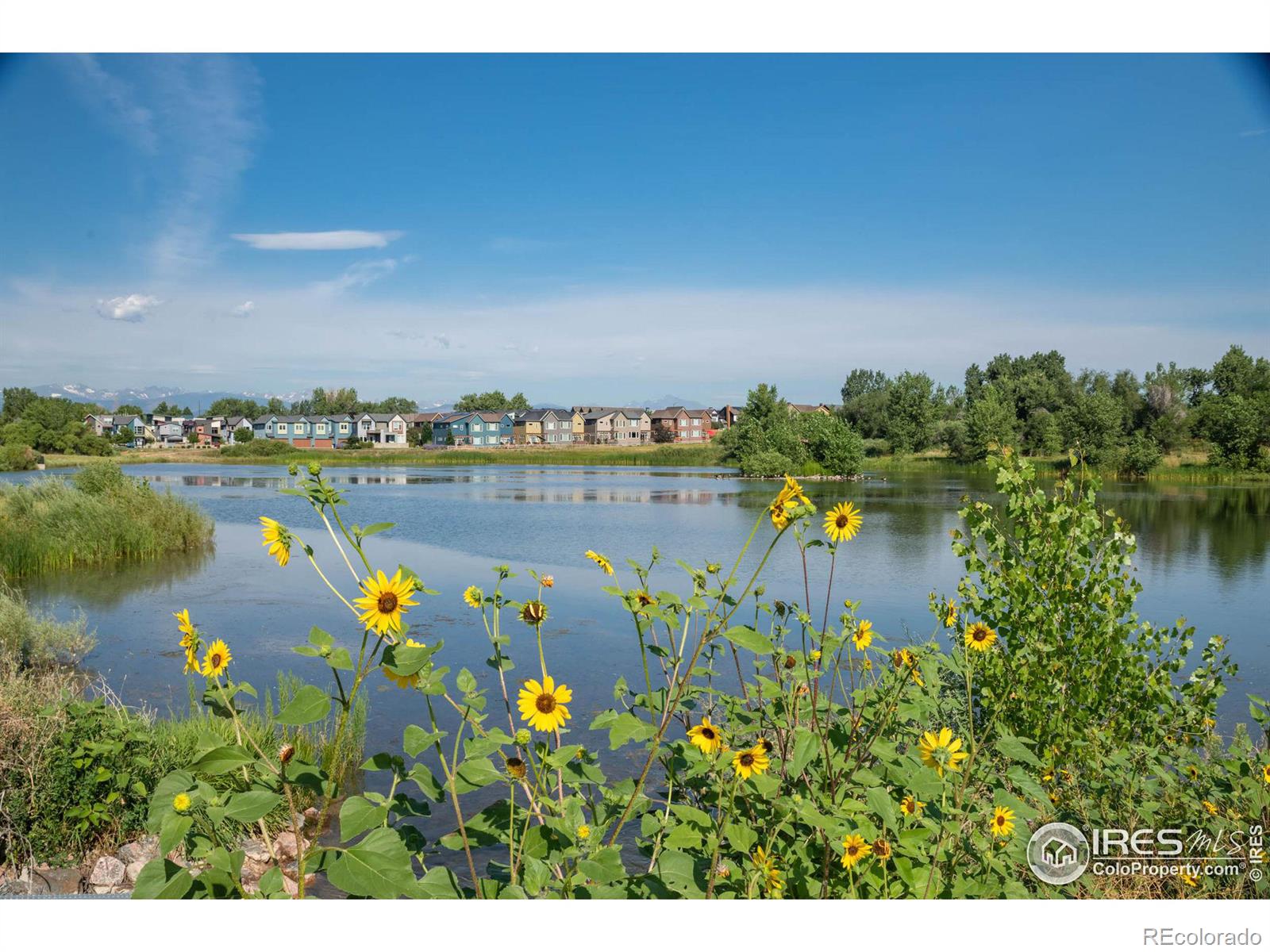 MLS Image #32 for 2164 e hecla drive,louisville, Colorado