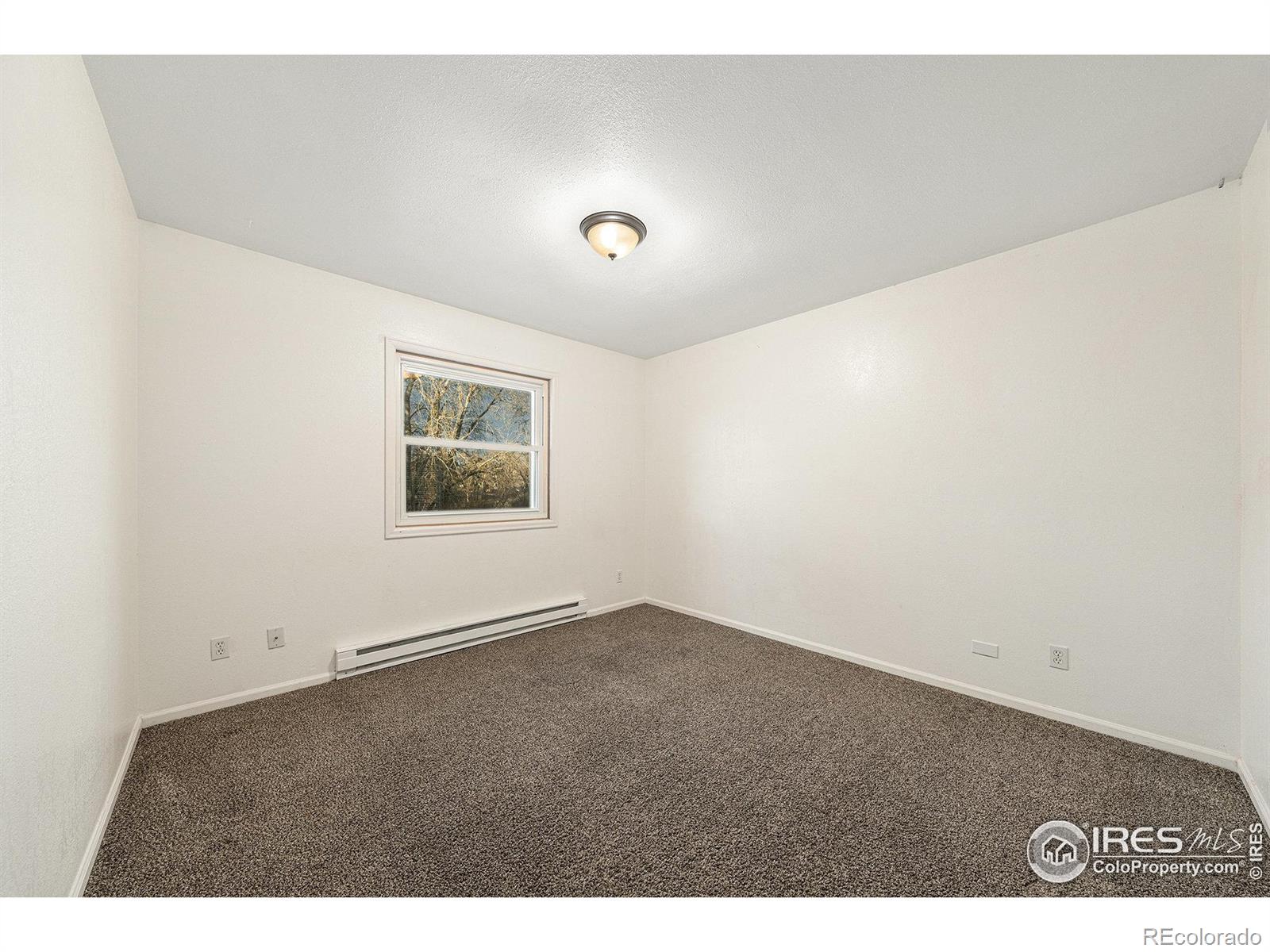 MLS Image #15 for 1736  hastings drive,fort collins, Colorado