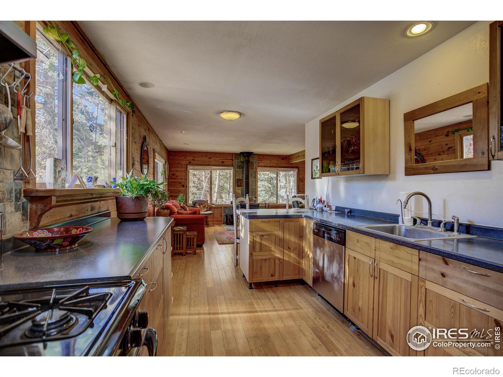 MLS Image #12 for 240  pinon way,nederland, Colorado