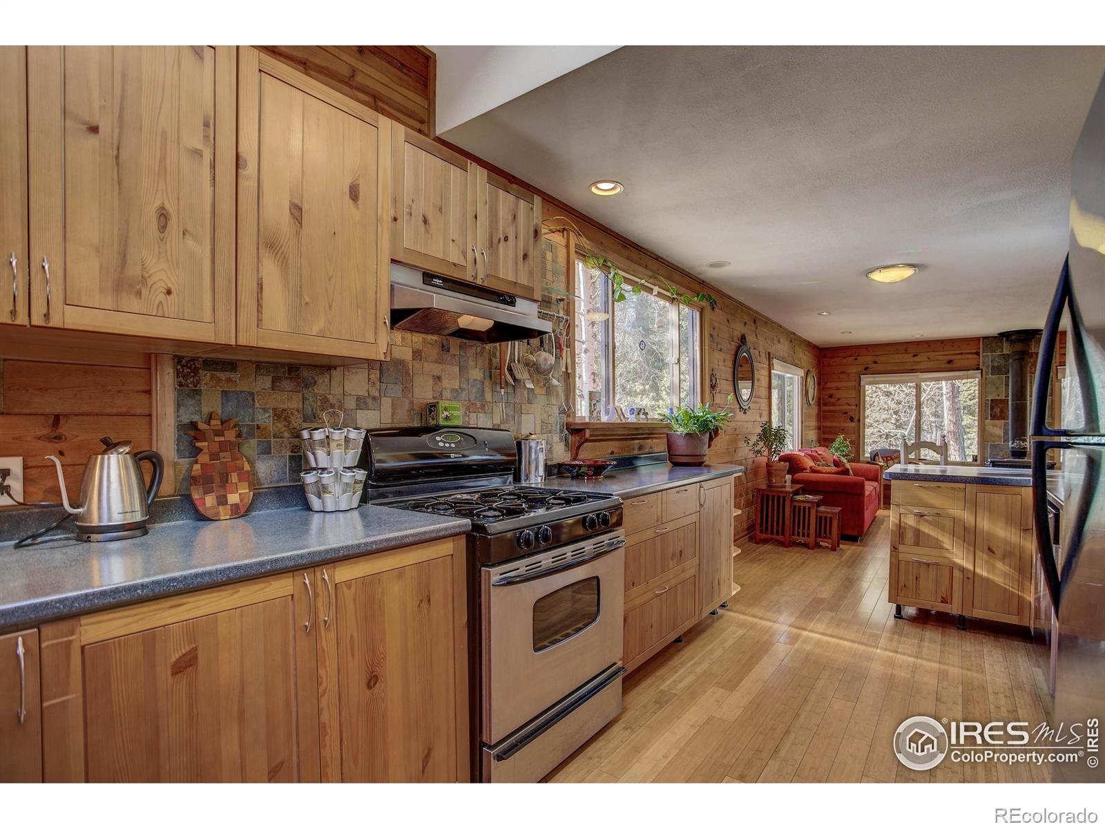 MLS Image #13 for 240  pinon way,nederland, Colorado