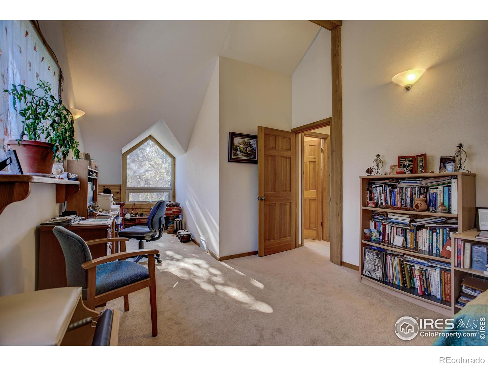 MLS Image #29 for 240  pinon way,nederland, Colorado