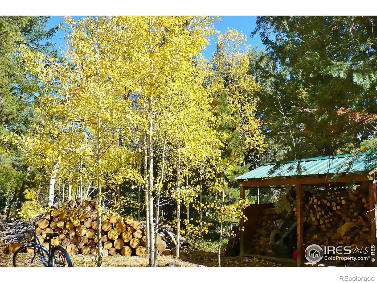 MLS Image #36 for 240  pinon way,nederland, Colorado