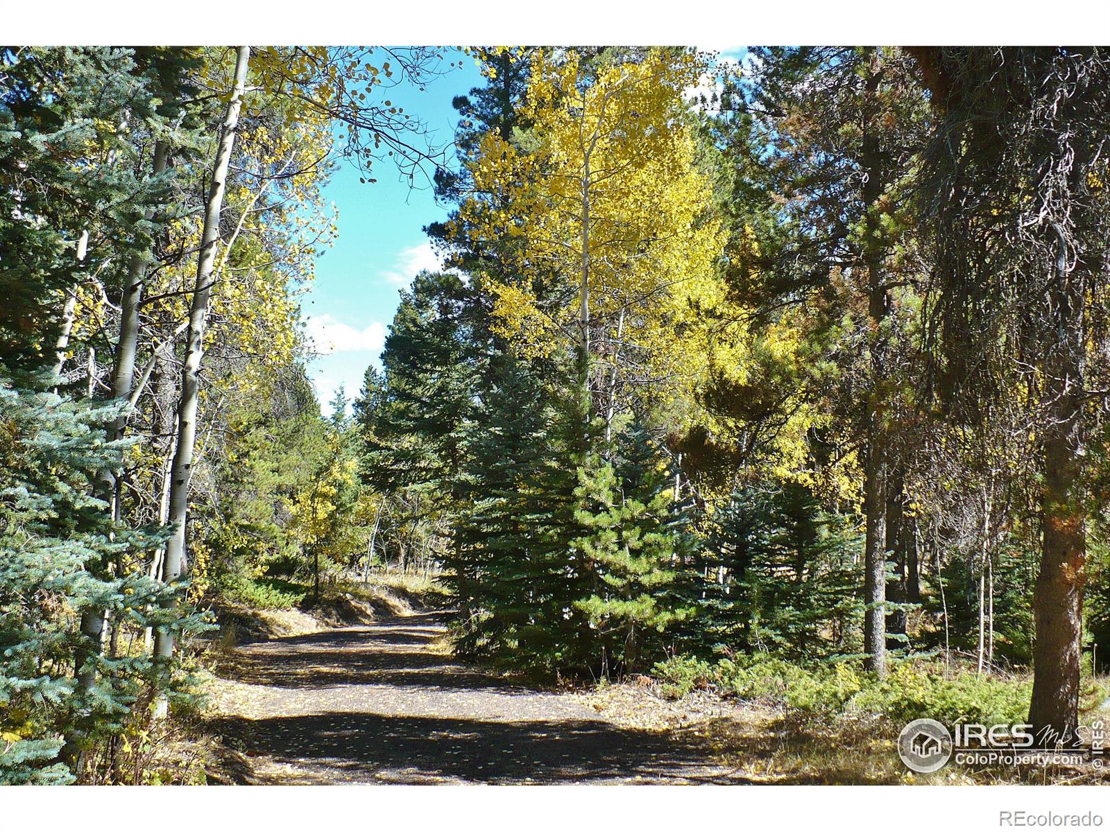 MLS Image #37 for 240  pinon way,nederland, Colorado