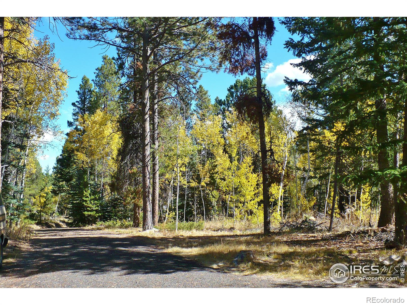 MLS Image #38 for 240  pinon way,nederland, Colorado