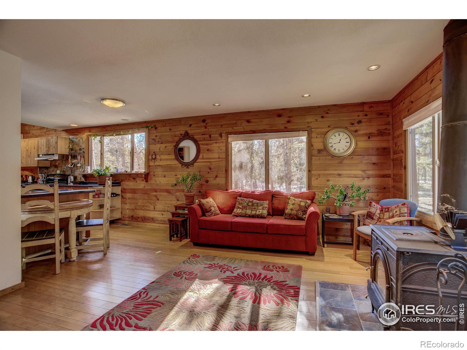 MLS Image #5 for 240  pinon way,nederland, Colorado