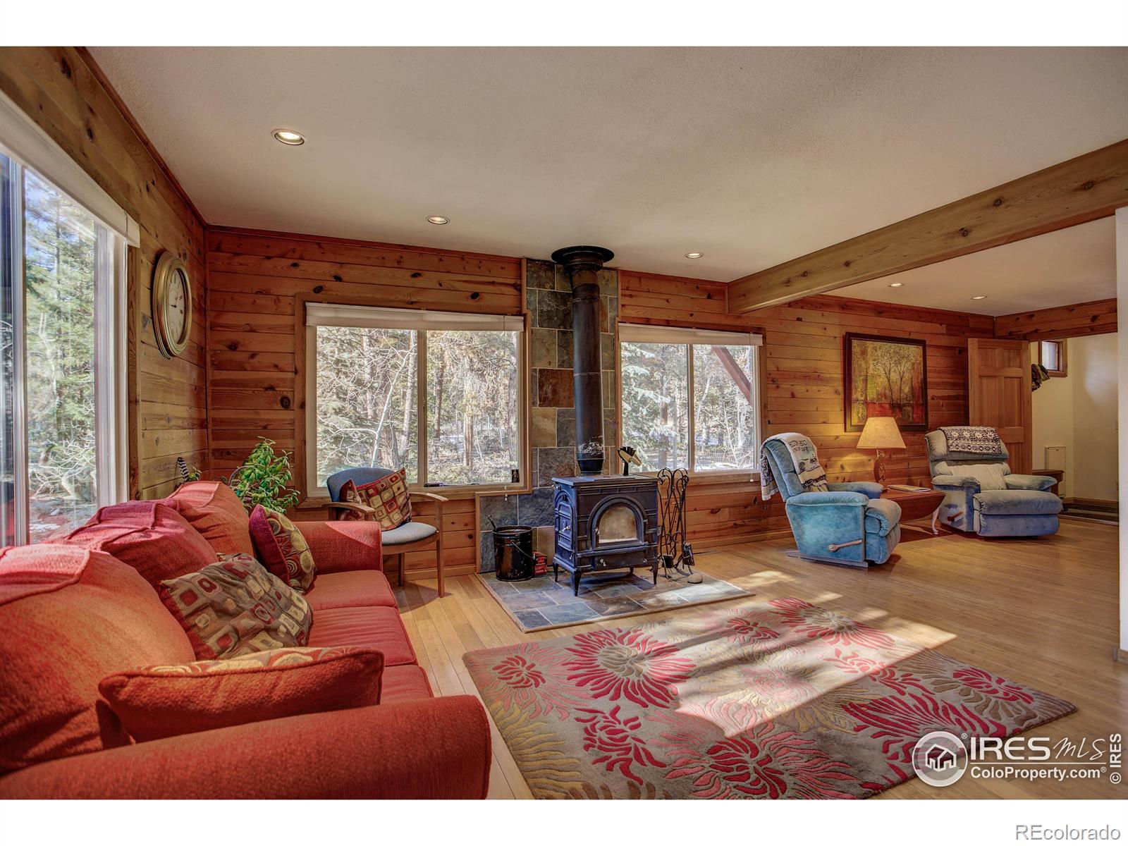 MLS Image #6 for 240  pinon way,nederland, Colorado