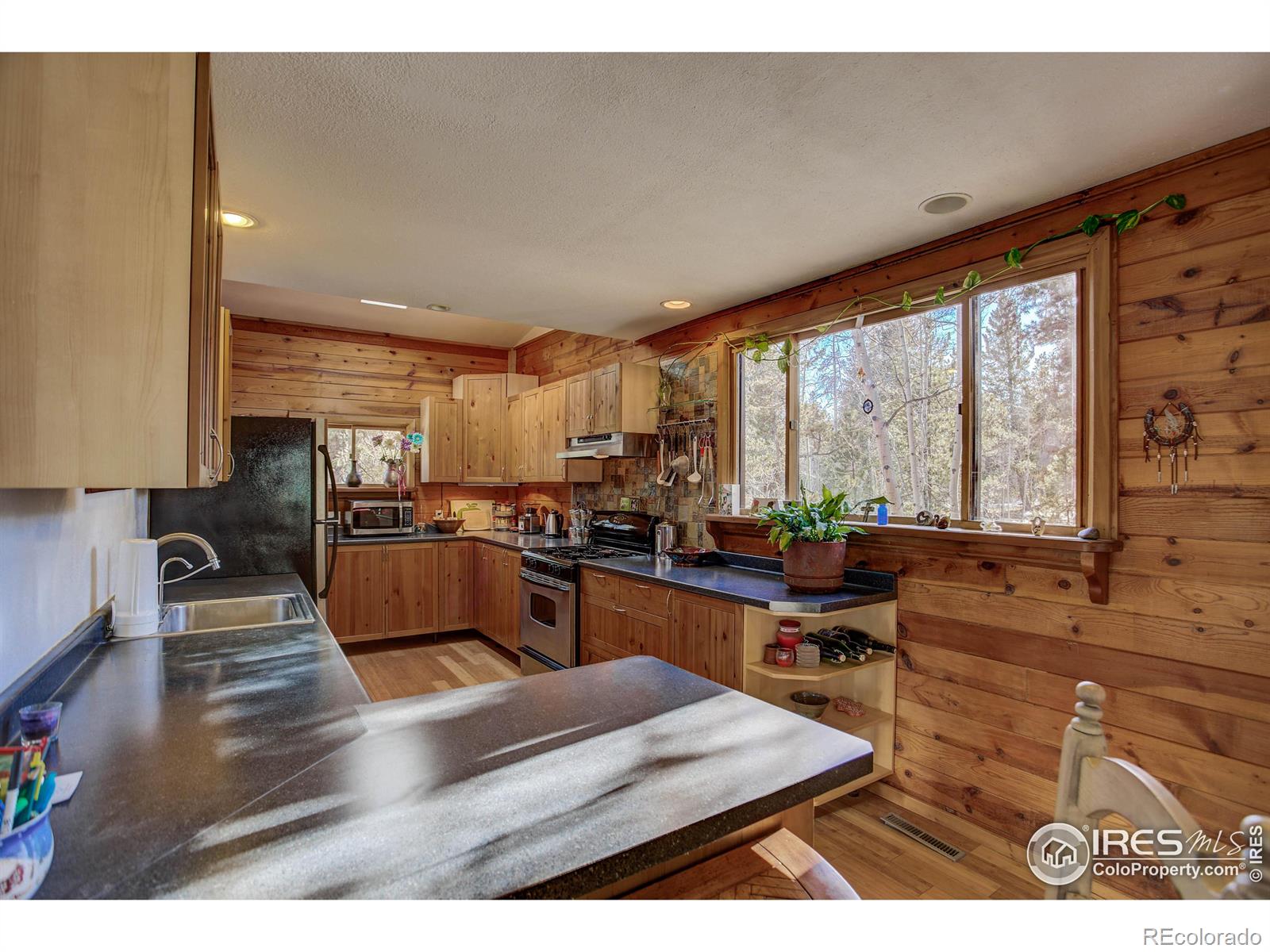 MLS Image #8 for 240  pinon way,nederland, Colorado