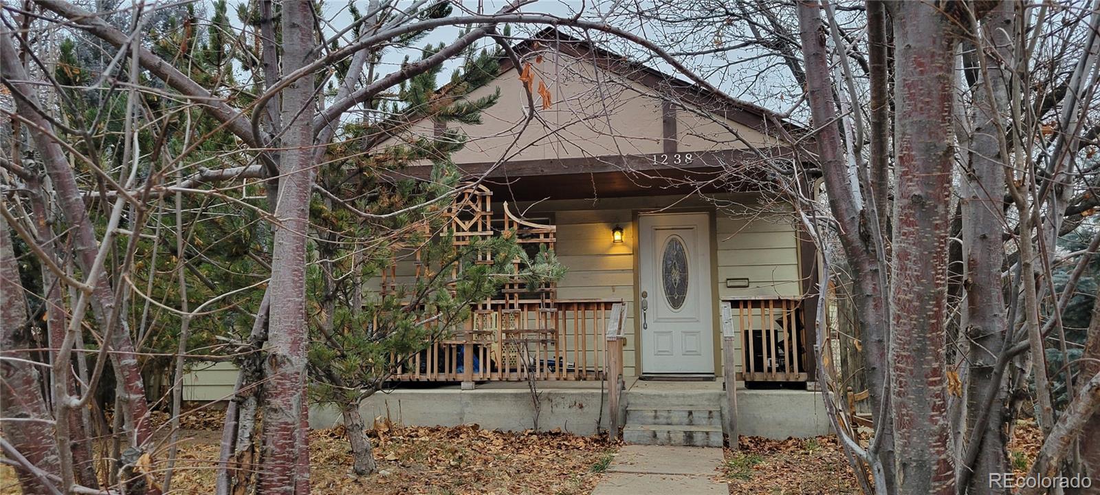 MLS Image #0 for 1238  rosemary street,denver, Colorado