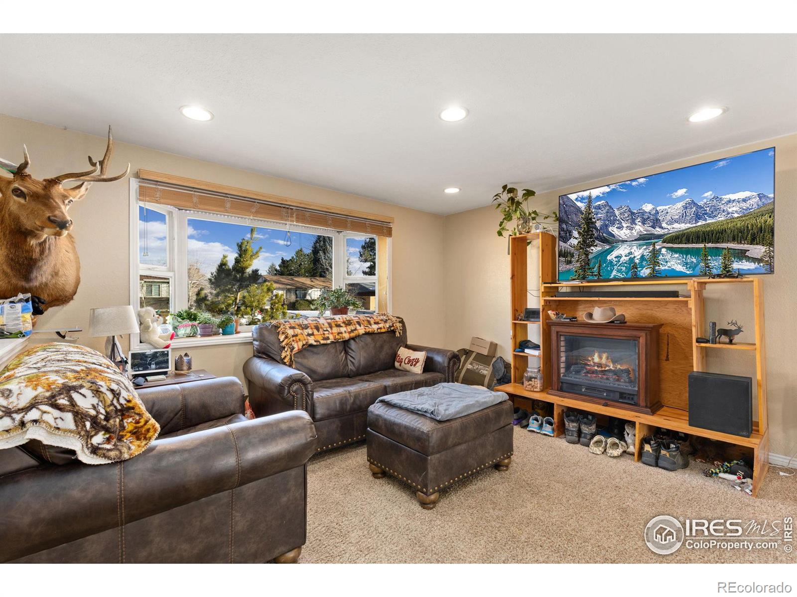 MLS Image #3 for 9241  hazel court,westminster, Colorado