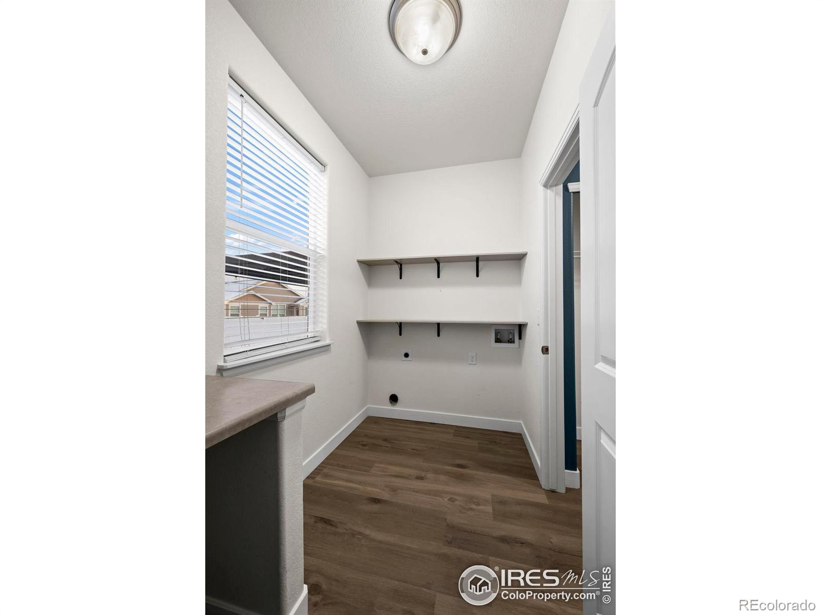 MLS Image #12 for 916  barasingha street,severance, Colorado