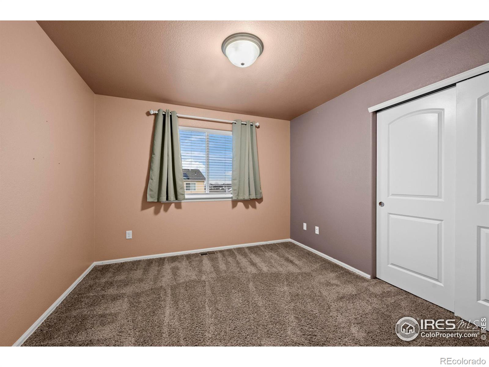 MLS Image #18 for 916  barasingha street,severance, Colorado