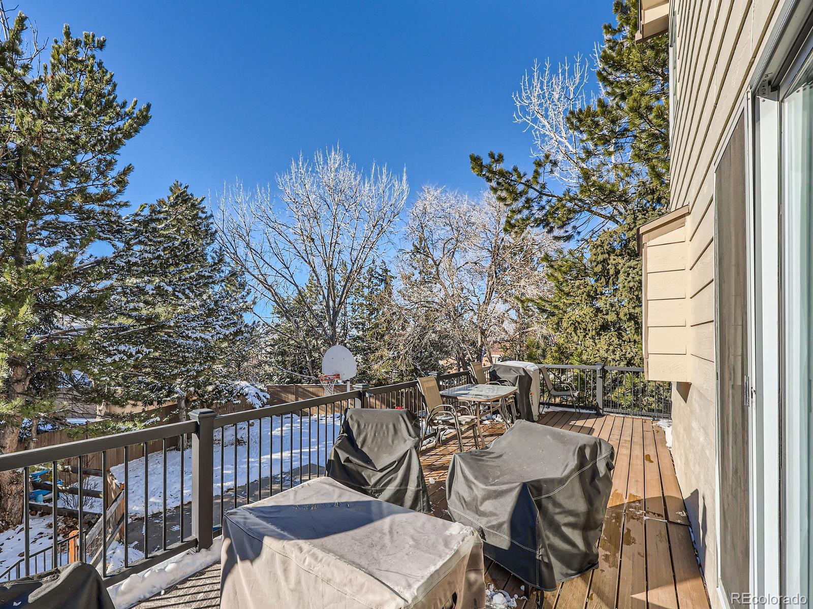 MLS Image #23 for 4737 n bearlily way,castle rock, Colorado