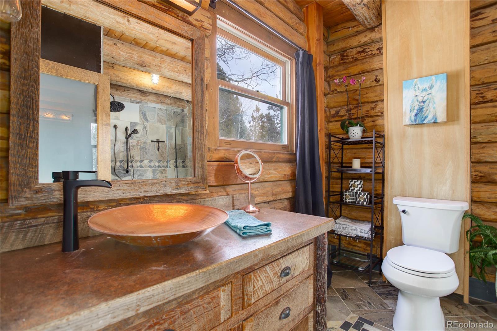 MLS Image #20 for 11498  pauls lane,conifer, Colorado