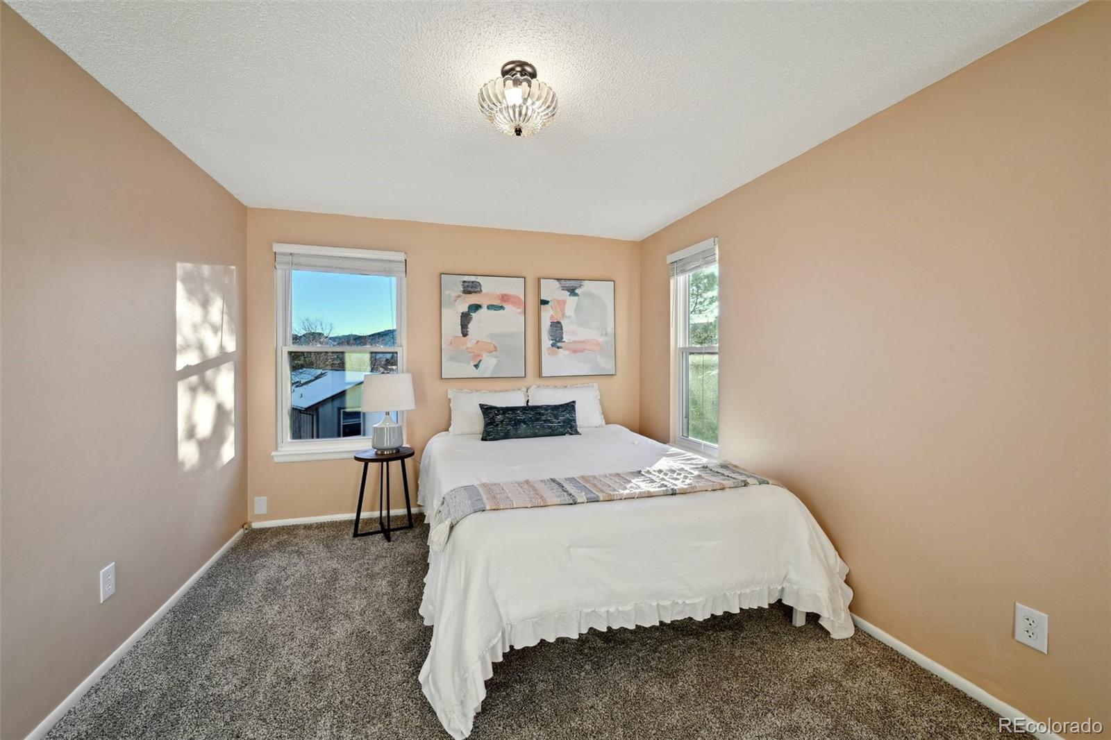 MLS Image #20 for 11292  main range trail,littleton, Colorado