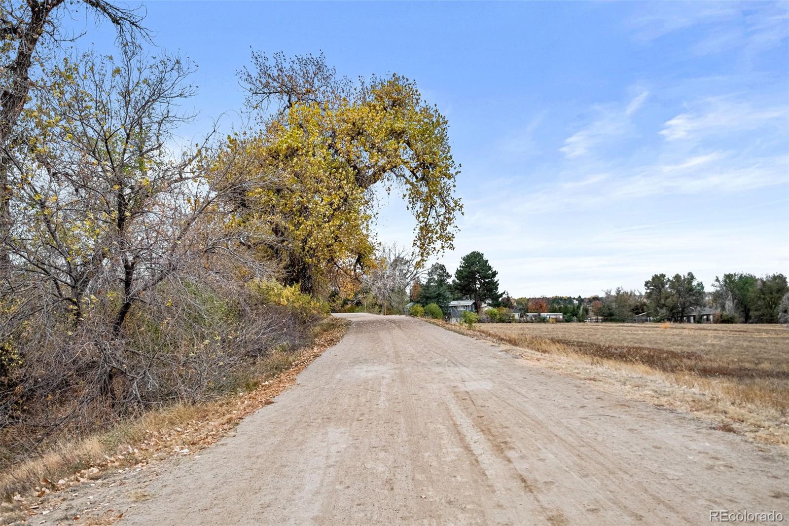 MLS Image #38 for 551 e caley drive,centennial, Colorado