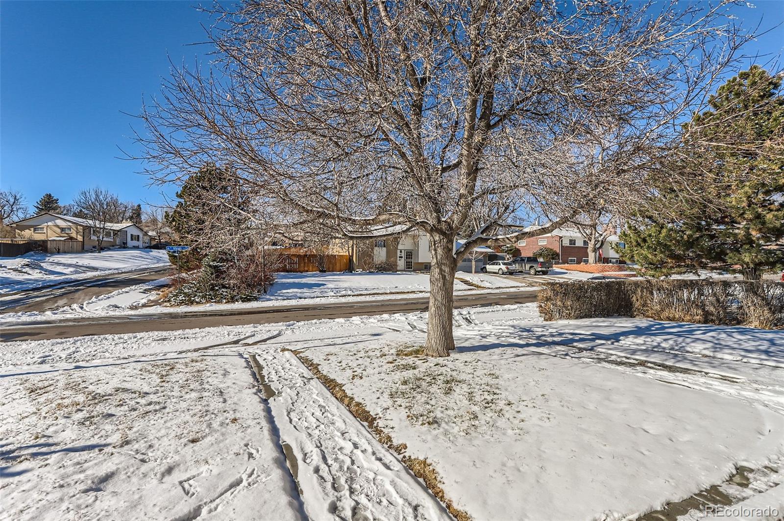 MLS Image #3 for 994 s vivian court,lakewood, Colorado