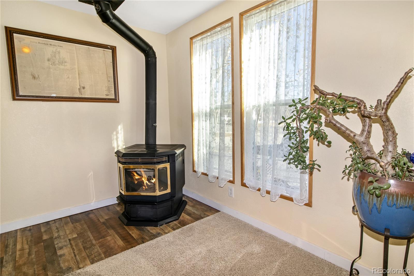 MLS Image #10 for 564  clark street,fairplay, Colorado