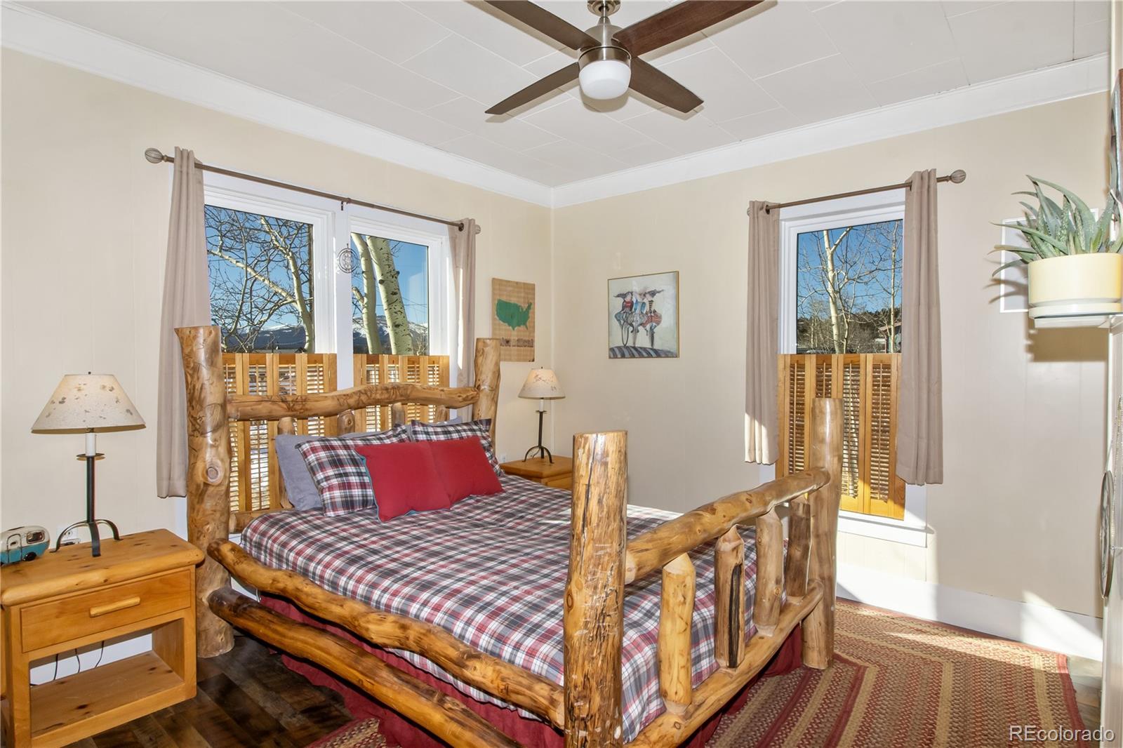 MLS Image #15 for 564  clark street,fairplay, Colorado