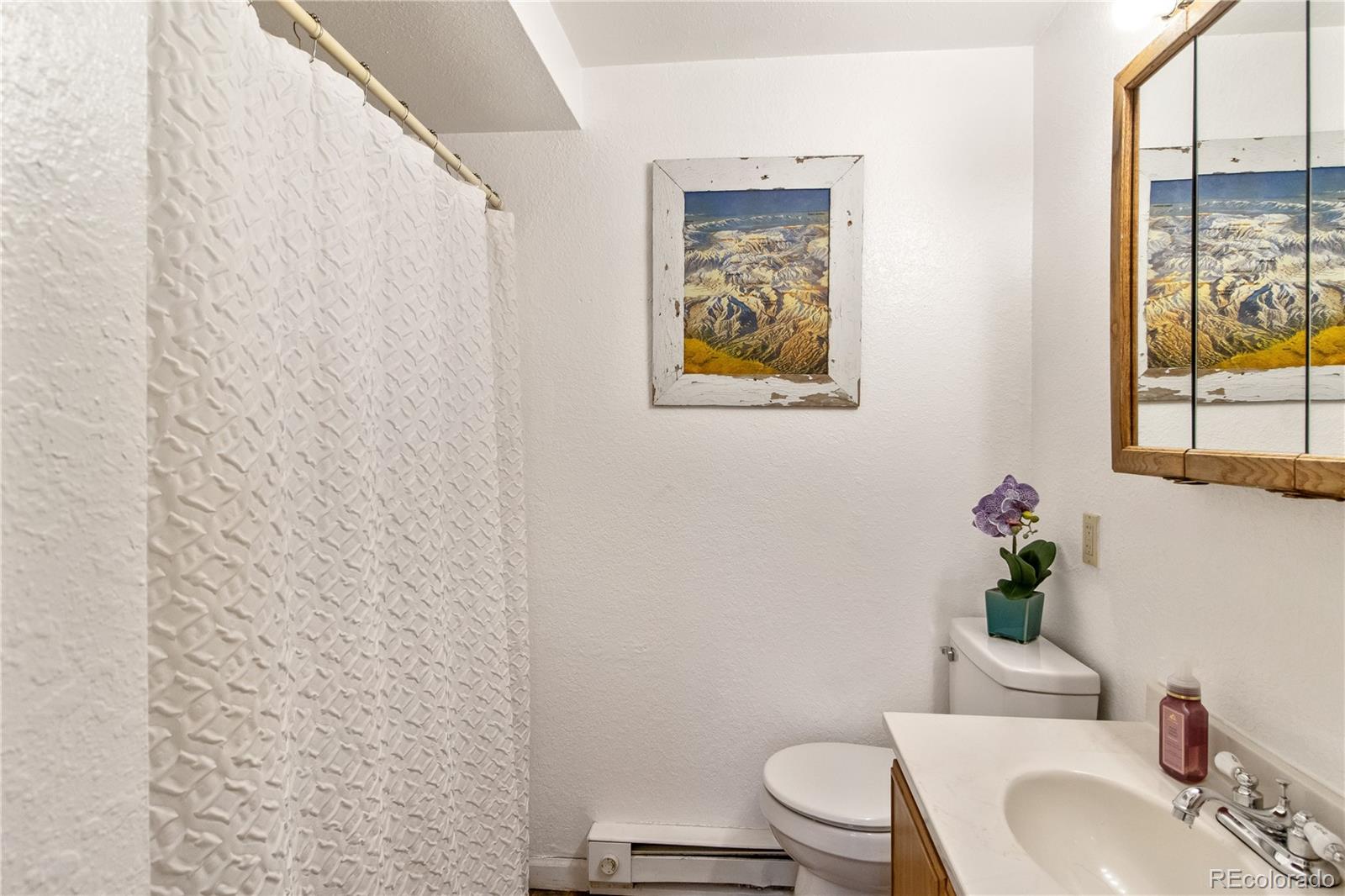 MLS Image #29 for 564  clark street,fairplay, Colorado