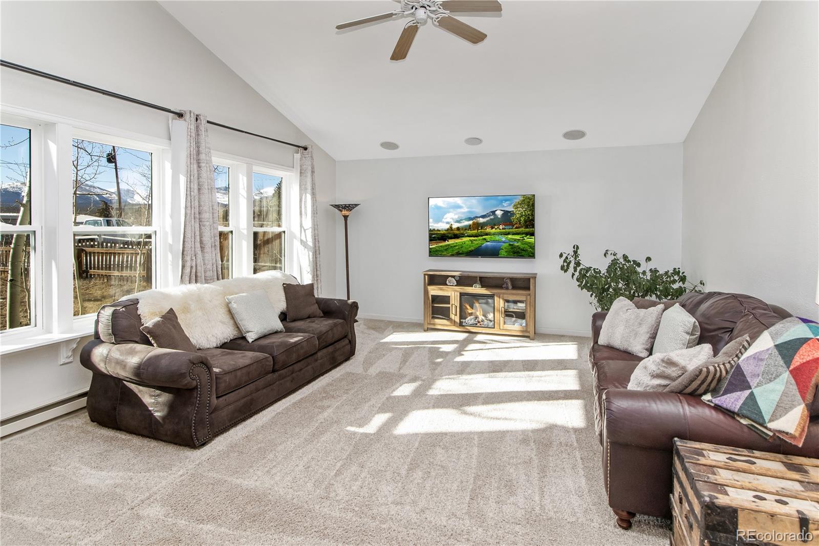MLS Image #4 for 564  clark street,fairplay, Colorado