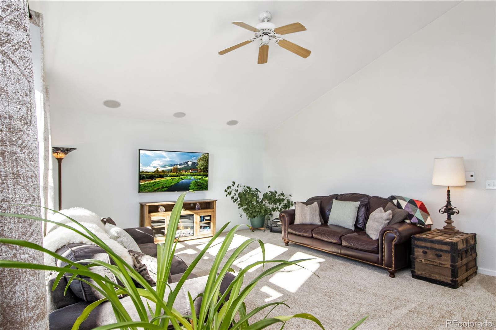 MLS Image #5 for 564  clark street,fairplay, Colorado