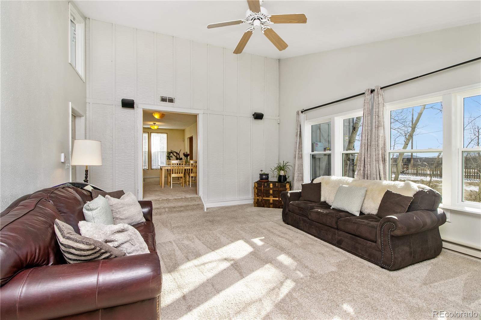 MLS Image #6 for 564  clark street,fairplay, Colorado